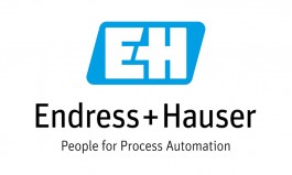 logo du Groupe Endress+Hauser