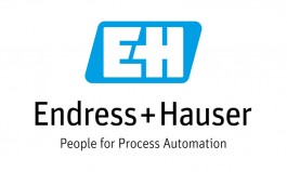 Endress+Hauser Group logo
