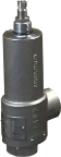 Consolidated 11000 Series Safety Relief Valve